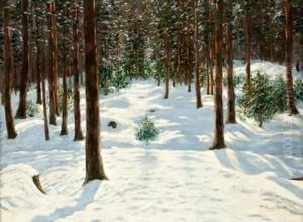 Teli Erdoreszlet - view 1