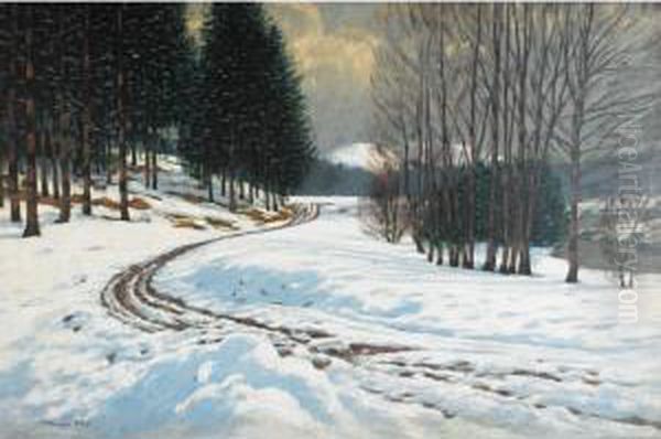 Winter Landscape - view 1