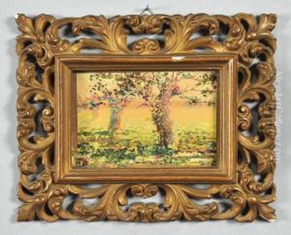 Alberi - view 1
