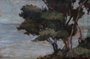 Alberi Sul Mare by Eugenio Olivari