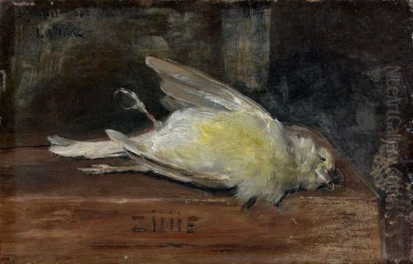 Oiseau - view 1