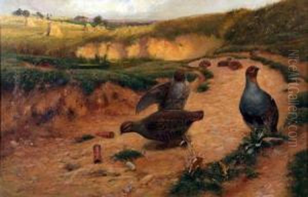 Partridges And Cartridges - view 1
