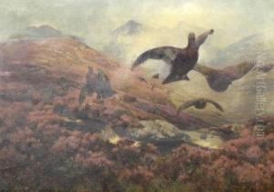 The Glorious Twelfth The Glorious Twelfth