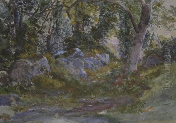 A Woodland Clearing - view 1