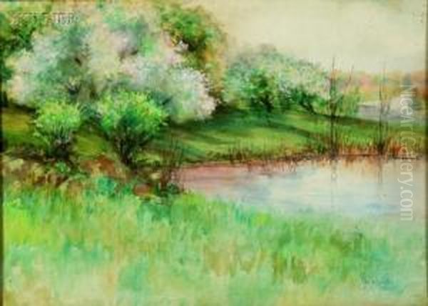 Spring Landscape - view 1