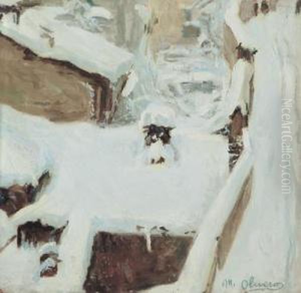 La Neve A Saluzzo - view 1