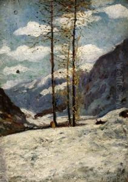 Abeti Tra La Neve - view 1