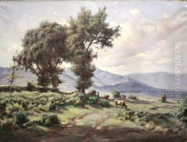 Paisaje-olot - view 1