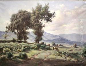 Paisaje-olot