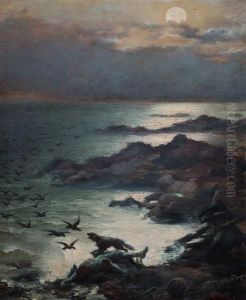 Notturno Sulla Scogliera