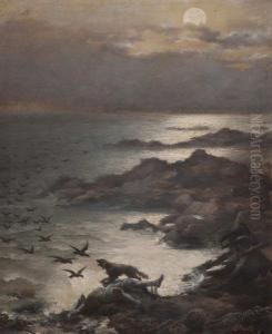 Notturno Su Scogliera Con Naufrago