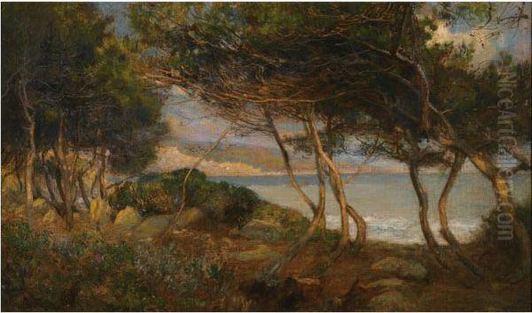 The Coast Near La Mortola - view 1