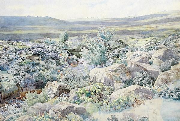 A Stream Running Through A Summer Moorland Landscape - view 1