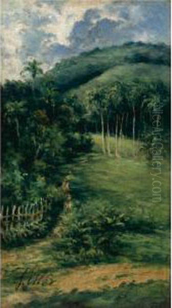 View Of The Guaraguao - view 1