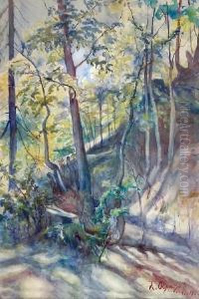 Pejzaz Lesny - view 1
