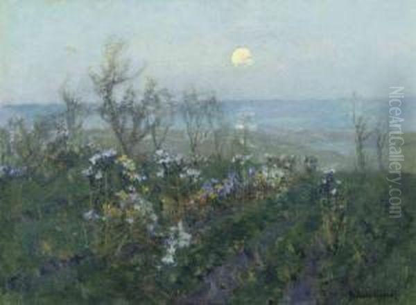 Moonlight Across The Bay - view 1