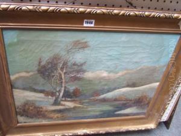 Snowy River Landscape - view 1