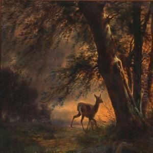 Aften I Rygaards Dyrehave by Peter Olsted