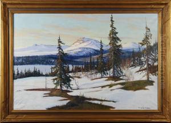 Vinterlandskap - view 1