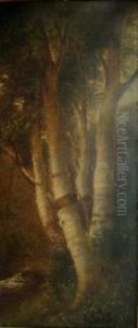 Birches by William Ongley