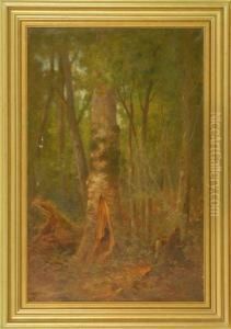 Forest Interior by William Ongley