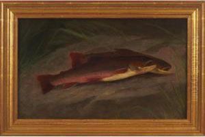 Fish by William Ongley