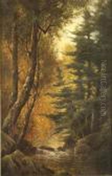 River Landscape In Autumn - view 1
