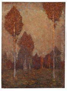 Baume. by Walter Ophey