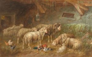 Schafe Im Stall. by J. Oppelts