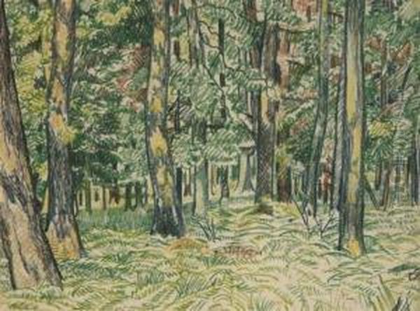 Interior Of A Wood - view 1