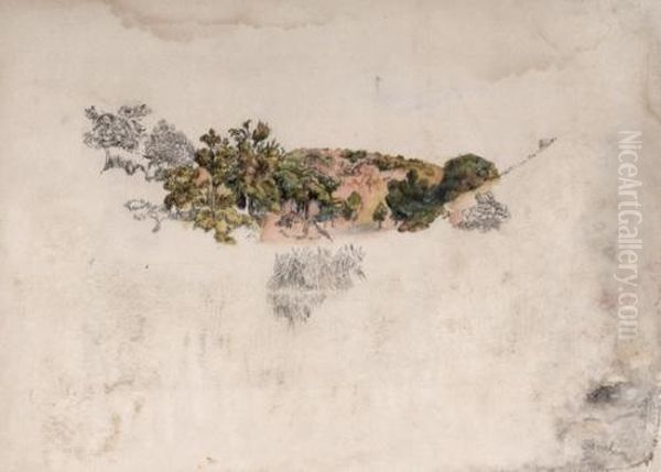 Landscape - view 1
