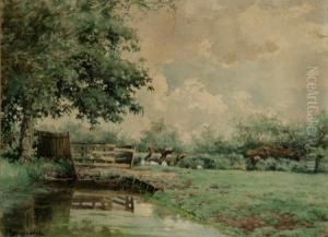 Sheep Grazing Beside A Creek