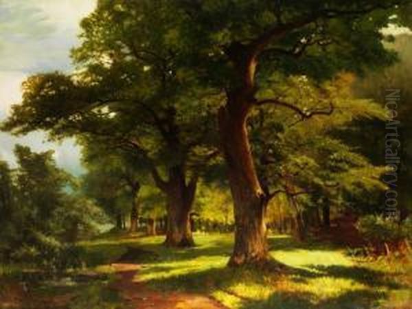 Waldlandschaft - view 1