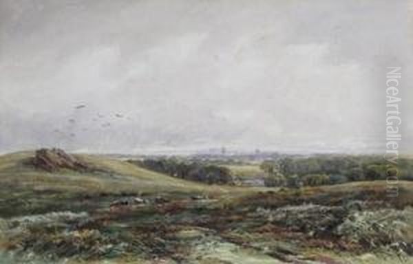Bradgate Park - view 1