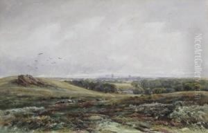 Bradgate Park by James Orrock