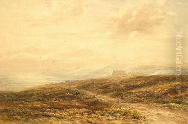 Coastal Landscape With Cows Grazing - view 1