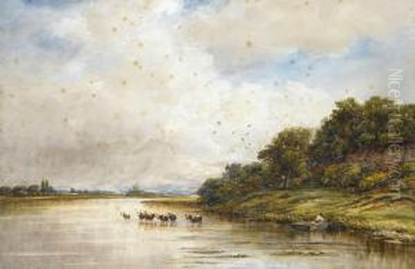 View On The River Trent From Mannings Island - view 1