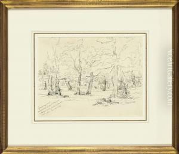 Cows In A Forest - view 1