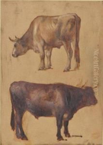 Tete De Vache by Francois Auguste Ortmans