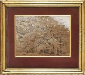 Paysage En Sous Bois by Francois Auguste Ortmans
