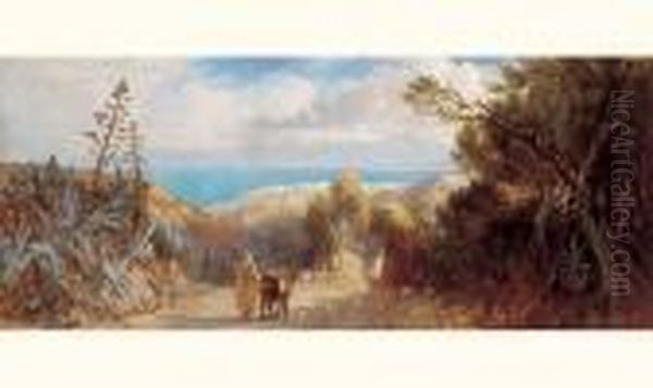 Vue D'alger. - view 1