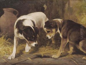 Gone To Ground by William Osborne