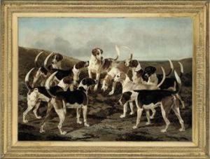 The Hounds From York & Ainsty Kennels by William Osborne