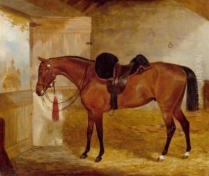 Horse In A Stable With View Of Castelwood Avenue by William Osborne