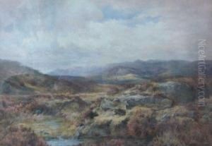 'a Moorland Bettwys Y Coed' by Samuel William Oscroft