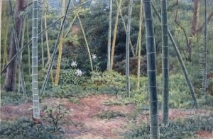 Bamboo Forest