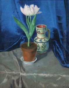 Feher Tulipanos Csendelet
