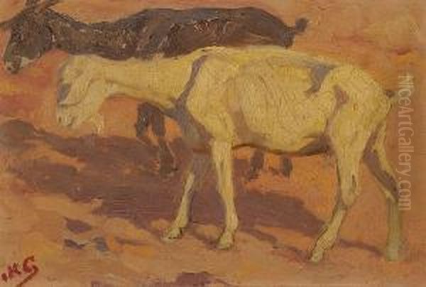 Goats - view 1