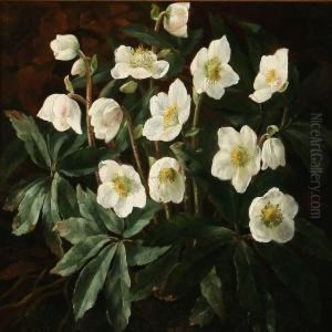 White Christmas Roses by Otto Didrik Ottesen