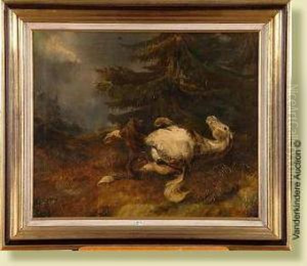 Cheval Attaque Par Un Loup - view 1